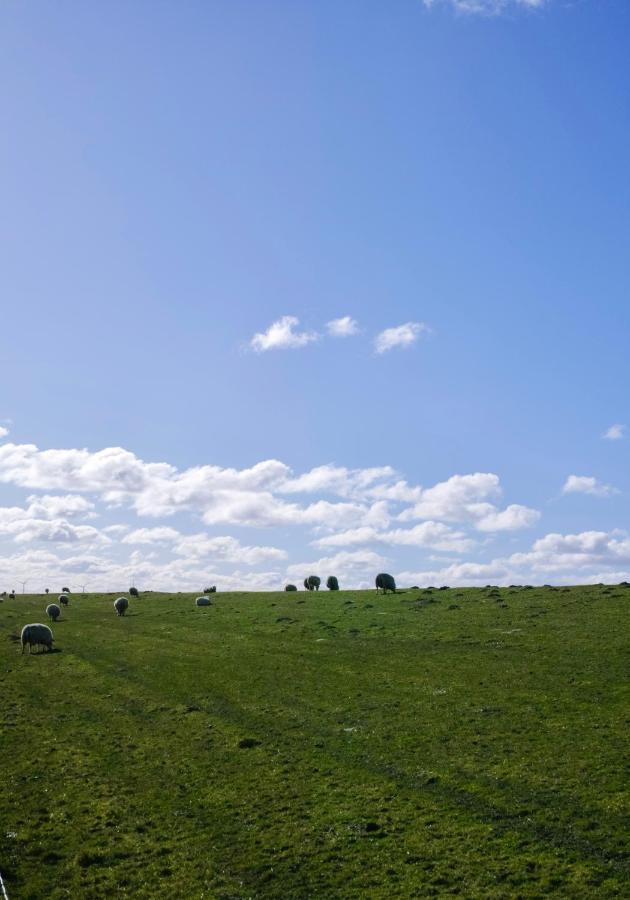 Am Horumertief Schillig Bagian luar foto